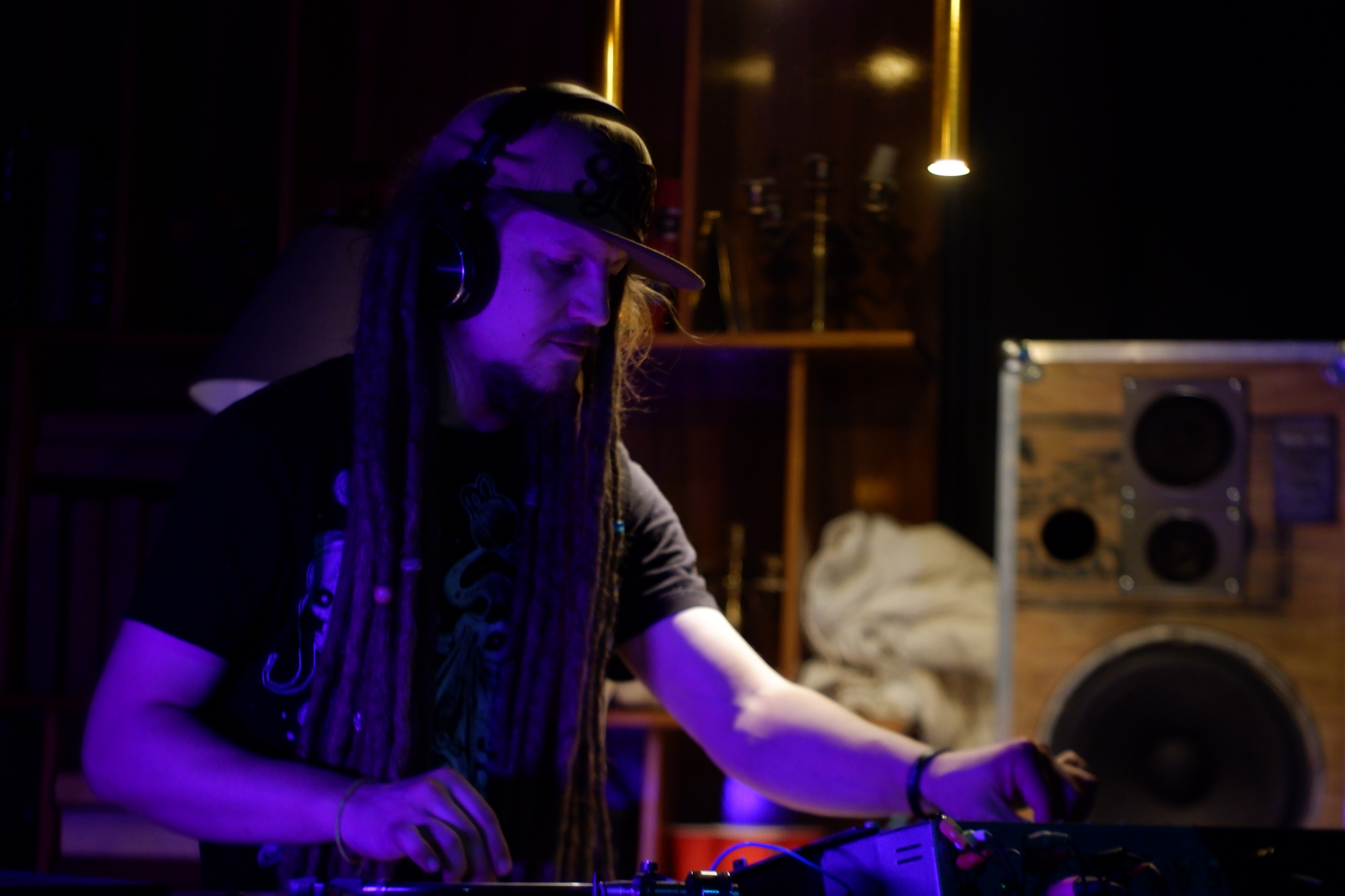 Dubspace Lion