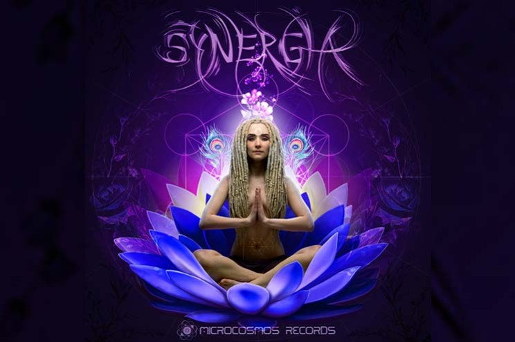 Synergia